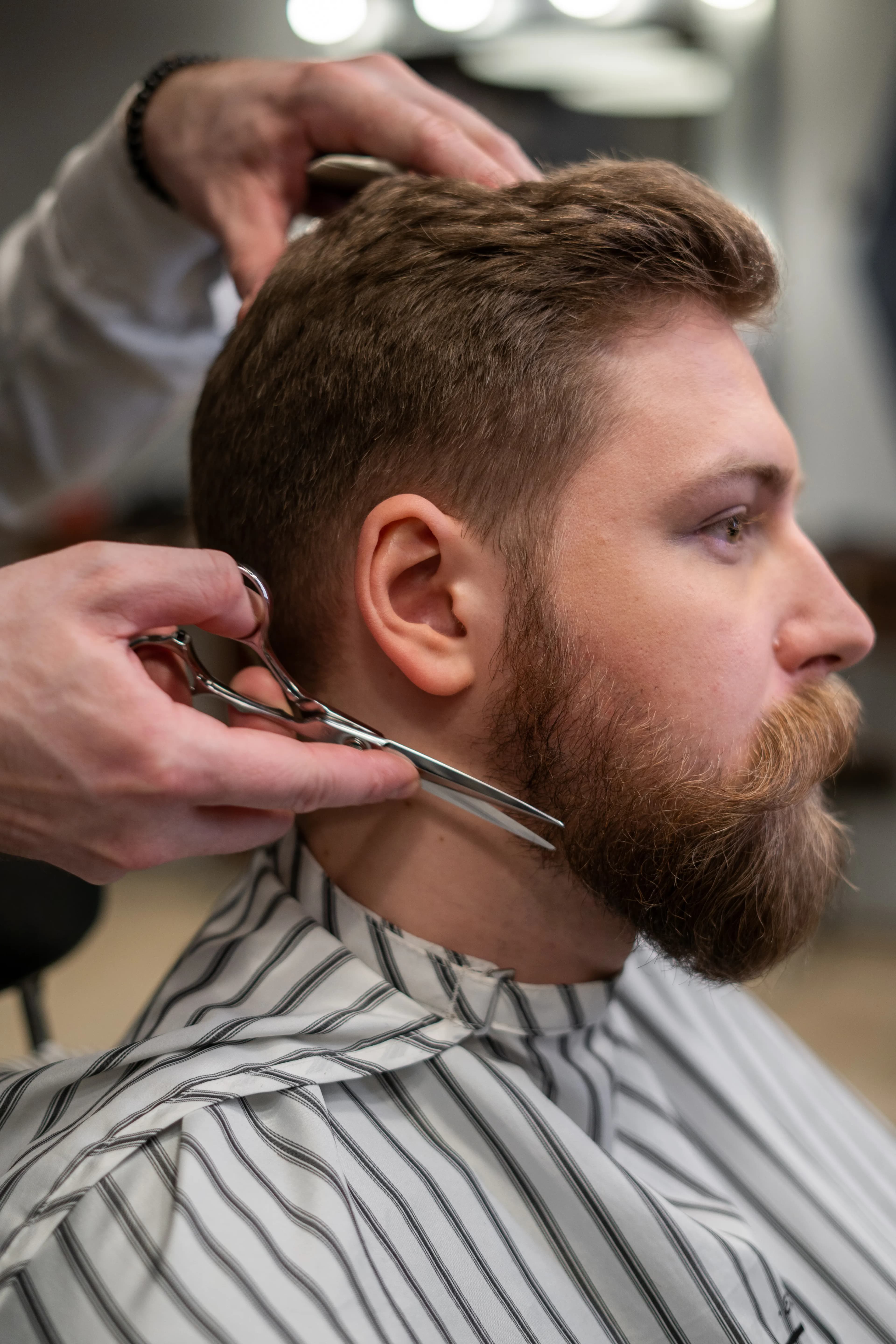 Corte